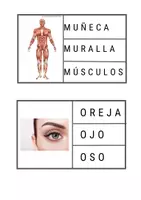 Vista previa - Juegos / Gamificación - Elige la palabra correcta de El cuerpo humano. - página 2