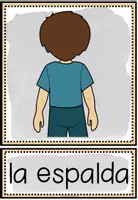 Vorschau - Bildkarten - EL CUERPO - Bild- und Wortkarten (Spanisch) - Seite 1