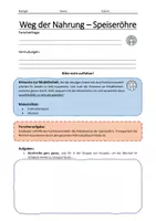 Vorschau - Arbeitsblätter - Funktion der Speiseröhre - Schülerversuch - Seite 2