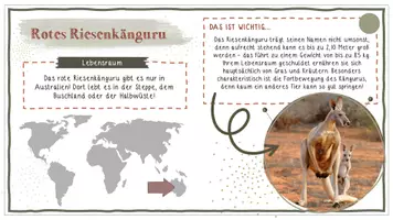 Vorschau - Anderer Materialtyp - Tiere der Welt / Steckbriefe - Deko für den Bioraum! - Seite 2
