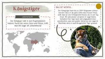 Vorschau - Anderer Materialtyp - Tiere der Welt / Steckbriefe - Deko für den Bioraum! - Seite 3