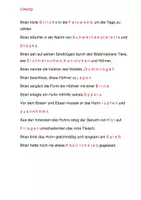 Vorschau - Arbeitsblätter - Lückentext u. Rätsel zum 15. Kapitel des Jugendbuches "Allein in der Wildnis" - Seite 2