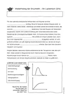 Vorschau - Arbeitsblätter - Lückentexte Enzymatik Festigung und Wiederholung - Seite 3