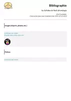 Aperçu - Préparation de séance / Séance complète - les Syllabes de Noël-phonologie - Page 2