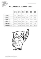 Aperçu - Feuilles d'exercices - Brown Owl - My Crazy Colourful Owl - Page 2