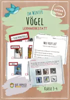 Vorschau - Stundenentwürfe - Vögel im Winter - Lernwerkstatt - Deckblatt