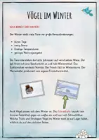Vorschau - Stundenentwürfe - Vögel im Winter - Lernwerkstatt - Seite 1
