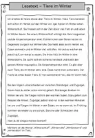 Vorschau - Arbeitsblätter - Winterliche Arbeitsblätter Deutsch - gemischte Aufgaben - Seite 3