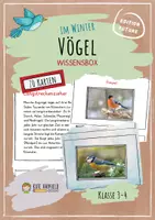 Vorschau - Merkblätter - Vögel im Winter - Wissensbox - Deckblatt