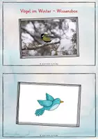 Vorschau - Merkblätter - Vögel im Winter - Wissensbox - Seite 1
