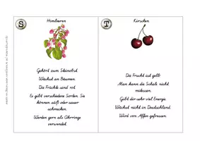 Vorschau - Spiele - Lesespaziergang Obst SAS (gesunde Ernährung) - Seite 3