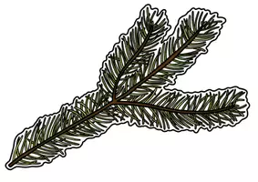 Vorschau - Präsentationen/Tafelbilder - Tafelmaterial Heimische Bäume - Laubbäume & Nadelbäume, Bild- & Textkarten, Realienkarten - Seite 3