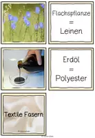 Vorschau - Spiele - Textile Fasern Spiel - Seite 3