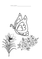 Vista previa - Manualidades / Dibujos para colorear - Dibujos H-2 - página 2