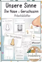 Vorschau - Arbeitsblätter - Die Nase- Der Geruchssinn - Differenzierte Arbeitsblätter - Deckblatt