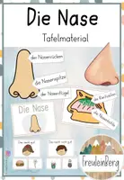 Vorschau - Präsentationen/Tafelbilder - Tafelmaterial - Die Nase - Der Geruchssinn - Deckblatt