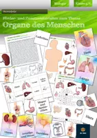 Vorschau - Arbeitsblätter - Organe des Menschen - Förder- und Zusatzmaterialien - Deckblatt