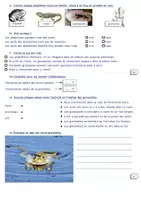 Aperçu - Préparation de séance / Séance complète - Sciences - Questionnaire vidéo C'est pas sorcier - les amphibiens - Page 1