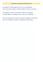 Aperçu - Préparation de séquence / Séquence complète - Dictée différenciée - Histoire de l'art - Vénus de Brassempouy - Page 2