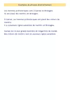 Aperçu - Préparation de séquence / Séquence complète - Dictée différenciée - Histoire de l'art - Les menhirs de Carnac - Page 3