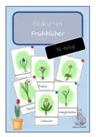 Vorschau - Poster - Frühblüher Bildkarten Wortkarten Tafelmaterial - Seite 3