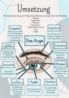 Vorschau - Unterrichtsreihen - Tafelbild/ Legebild: Das Auge - Seite 2