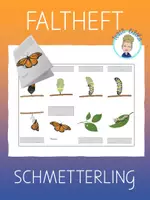 Vorschau - Arbeitsblätter - Faltheft | Faltbuch Metamorphose Schmetterling (4 Versionen) - Deckblatt