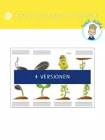 Vorschau - Arbeitsblätter - 4 Falthefte/Faltbücher: Metamorphose Schmetterling | Metamorphose Frosch | Lebenskreislauf Apfel | Lebenskreislauf Sonnenblume - Seite 2