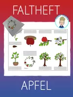Vorschau - Arbeitsblätter - Faltheft | Faltbuch Lebenskreislauf Apfel (4 Versionen) - Deckblatt
