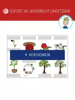 Vorschau - Arbeitsblätter - Faltheft | Faltbuch Lebenskreislauf Apfel (4 Versionen) - Seite 1