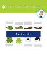 Vorschau - Arbeitsblätter - Bastelvorlage Frosch | Faltheft Frosch - Seite 1