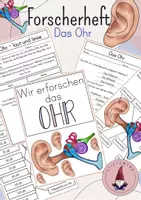 Vorschau - Unterrichtsreihen - Forscherheft/ Arbeitsblätter Das Ohr - Deckblatt