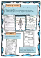 Vista previa - Unidades / Secuencias / Situaciones de Aprendizaje - El cuerpo humano I: aparato locomotor, sistema nervioso y aparato reproductor - página 3