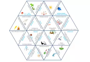 Vorschau - Spiele - Merkmale der Lebewesen - 4x Aktivitäten und Spiele - Seite 2