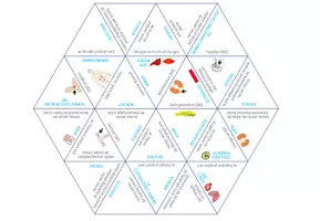 Vorschau - Spiele - Hormone – Dreieck Domino Spiel - Seite 1