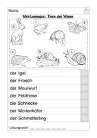 Aperçu - Feuilles d'exercices - Mini-Lesespur: Tiere der Wiese - Page 1