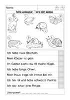 Aperçu - Feuilles d'exercices - Mini-Lesespur: Tiere der Wiese - Page 2