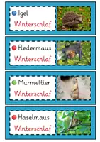 Vorschau - Merkblätter - Tiere im Winter - Merkfächer - Seite 3
