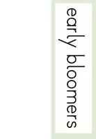 Vorschau - Präsentationen/Tafelbilder - Tafelmaterial - Flash Cards Frühblüher (Englisch) - Seite 3