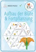 Vorschau - Spiele - Aufbau der Blüte und Fortpflanzung in Pflanzen – Dreieck Domino Spiel - Deckblatt