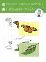 Vorschau - Mal- und Bastelvorlagen - Agamograph / Zickzack-Bild: Schmetterling und Raupe - Seite 1