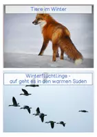 Vorschau - Stationenlernen - #edukilights22 Tiere im Winter - Wissenskarten - Seite 1