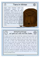 Vorschau - Stationenlernen - #edukilights22 Tiere im Winter - Wissenskarten - Seite 2