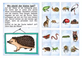 Vorschau - Arbeitsblätter - Lesespaziergang Wiese - Seite 1