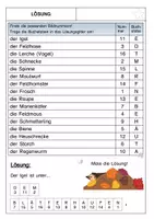 Vorschau - Arbeitsblätter - Lesespaziergang Wiese - Seite 3
