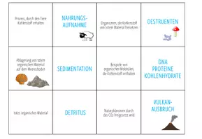Vorschau - Spiele - Kohlenstoffkreislauf – Zuordnungsaktivität / Paare Finden Spiel - Seite 3