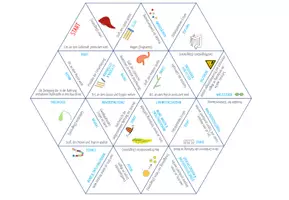 Vorschau - Spiele - Verdauungsenzyme – Dreieck Domino Spiel - Seite 1