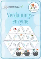 Vorschau - Spiele - Verdauungsenzyme – Dreieck Domino Spiel - Deckblatt