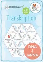 Vorschau - Spiele - Transkription – Dreieck Domino Spiel (Abitur) - Deckblatt