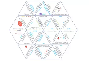 Vorschau - Spiele - Transkription – Dreieck Domino Spiel (Abitur) - Seite 1